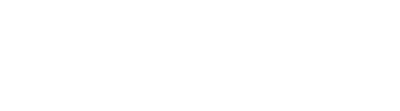 AMIGA Business
